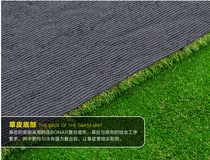Artificial lawn emulation plastic turf school dedicated lawn manufacturer Golf Fruit Ridge Grass customizable