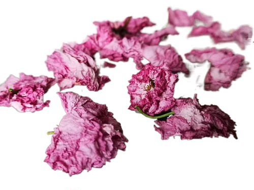 樱花干 干樱花茶250g  2024年新花 樱花花瓣 非盐渍樱花装饰樱花 - 图3