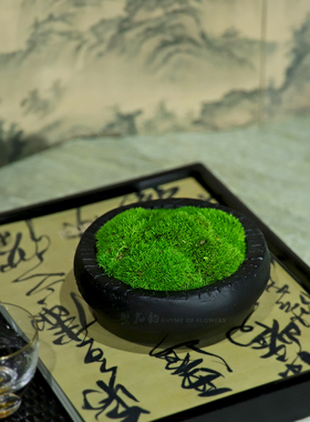 新中式禅意永生苔藓白发藓碳化木花器盆景样板间客厅书房茶几摆件