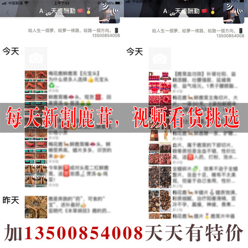 鹿茸粉 梅花鹿干鹿茸整支鲜鹿茸血片红粉半蜡全蜡鹿鞭膏 男性养生 - 图1