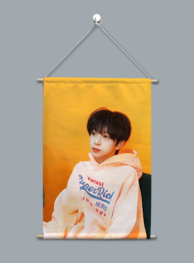 陈浚铭应援TF家族周边布艺挂画