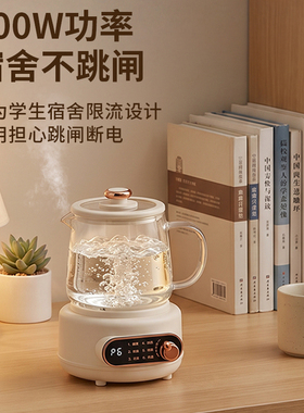 2026新款全玻璃花茶养生壶炖煮一体烧水壶家用小型一人慢炖煮茶壶
