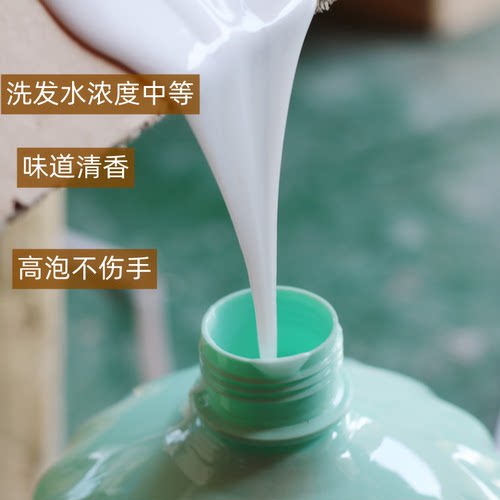 青蒿精华柔顺洗发水宾馆洗廊理发店大桶洗发水乳露洗头膏护发素乳 - 图0