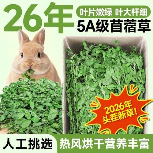 苜蓿草兔子粮草紫花干草幼兔食用豚鼠吃的粮食苜宿小麦草兔粮饲料 - 图0