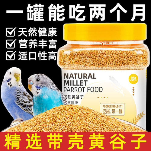 新黄谷子带壳小米虎皮鹦鹉鸟粮饲料食物牡丹玄凤的鸟食专用粮零食-图2