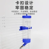 Дом кролика водяной свиньи питьевая вода пьет золотой медведь для ухода за водой.