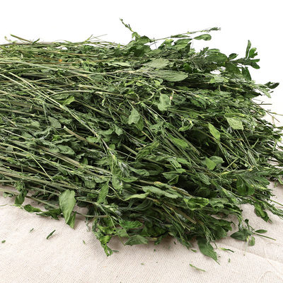 21年新紫花苜蓿草幼兔子草龙猫荷兰猪豚鼠牧草干草兔粮食毛重1kg 虎窝淘