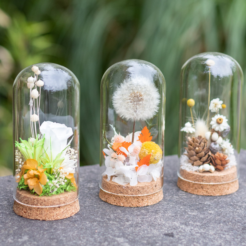 永生花玻璃罩小摆件微景观志愿者暖场沙龙团建活动diy手工材料包,淘宝优惠券,粉丝福利购,淘宝优惠卷