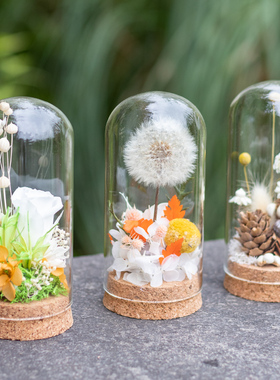 永生花玻璃罩微景观DIY材料包