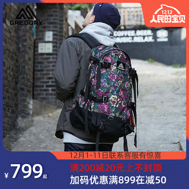 gregory day pack 22l