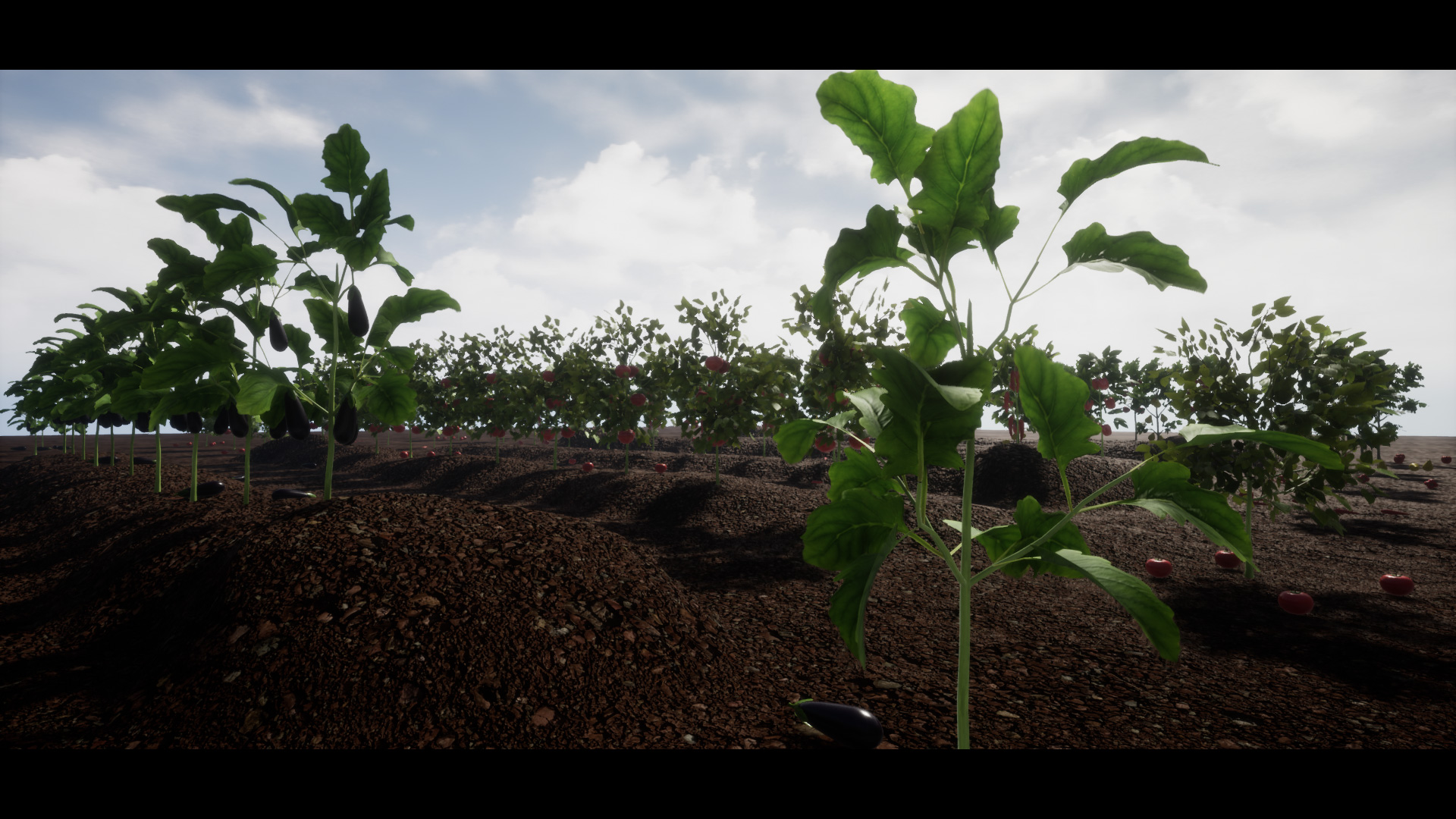 UE4虚幻5  Full Interactive Physic Plants with Fruits and Veg - 图2