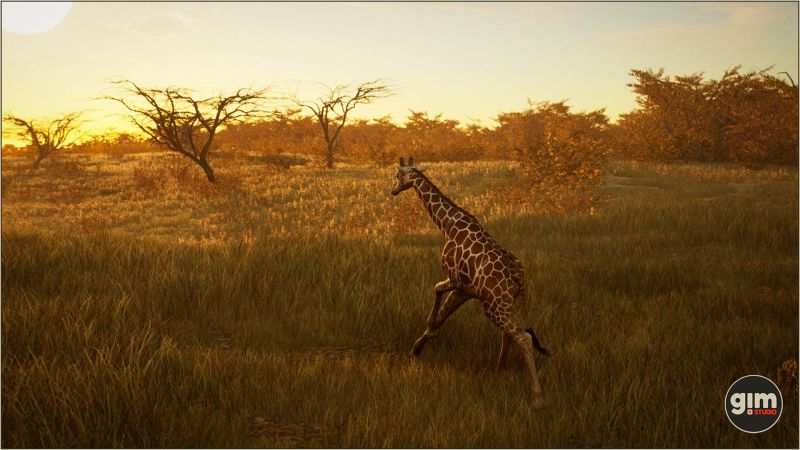 UE4虚幻5 Animalia - Giraffe (male) 雄性长颈鹿模型带动画 - 图2