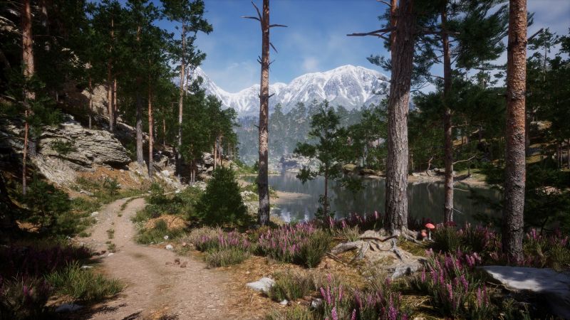 UE4虚幻5 Mountain- Environment Set写实山地森林河流湖场景-图1