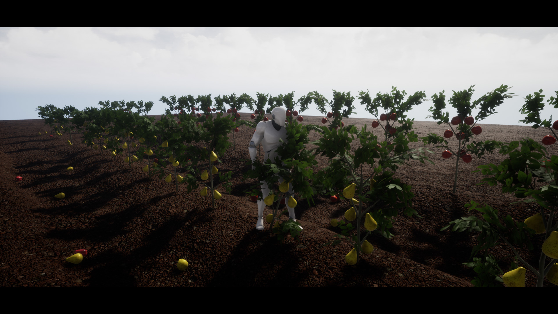 UE4虚幻5  Full Interactive Physic Plants with Fruits and Veg - 图1