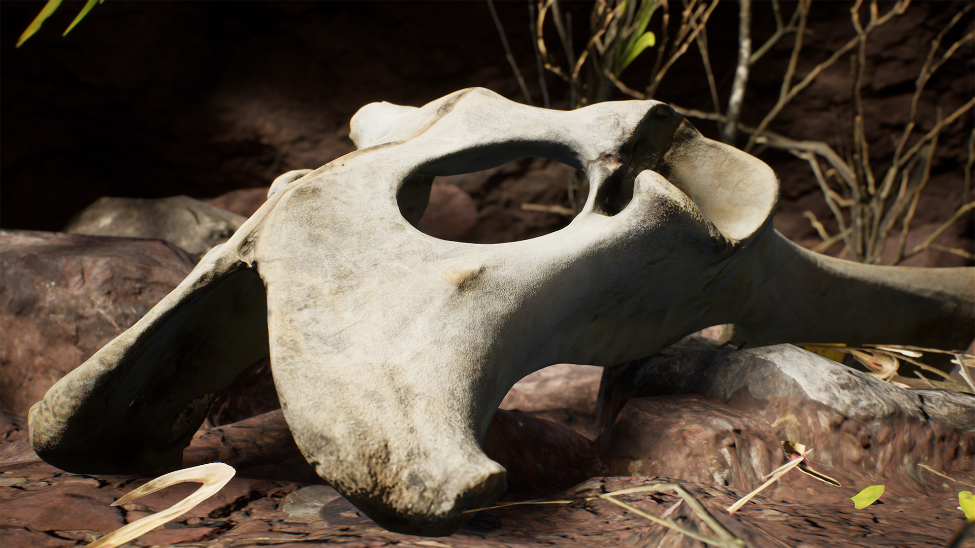 UE4虚幻5 Dry Animal Bones - Photoscan Vol 2 扫描动物骨头道具 - 图2