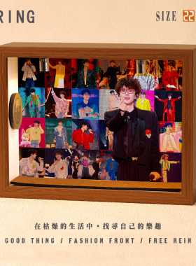 许嵩周边音乐专辑相框创意桌面礼物造景摆件生日礼品送男生女生