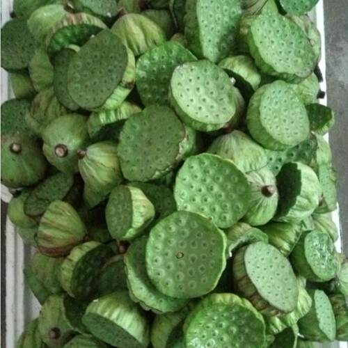 新鲜嫩莲蓬现摘新鲜嫩莲子洪湖农家生吃水果清甜零食15个起发 - 图0