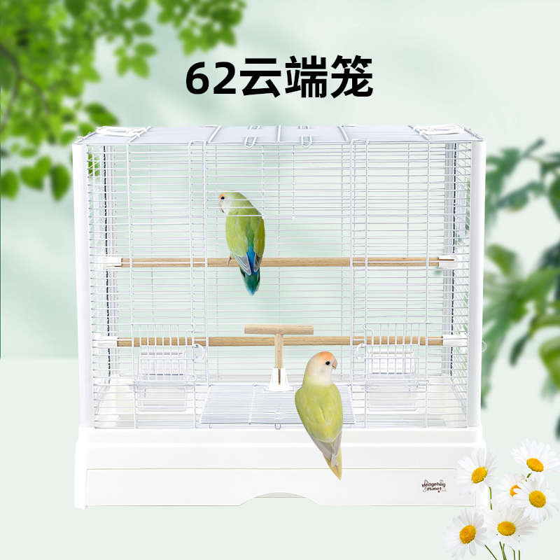 刺星球62云端加高别墅横线方笼立柱鹦鹉鸟笼虎皮牡丹玄凤笼 - 图2