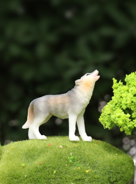 仿真写实狼郊狼公仔装饰品小摆件