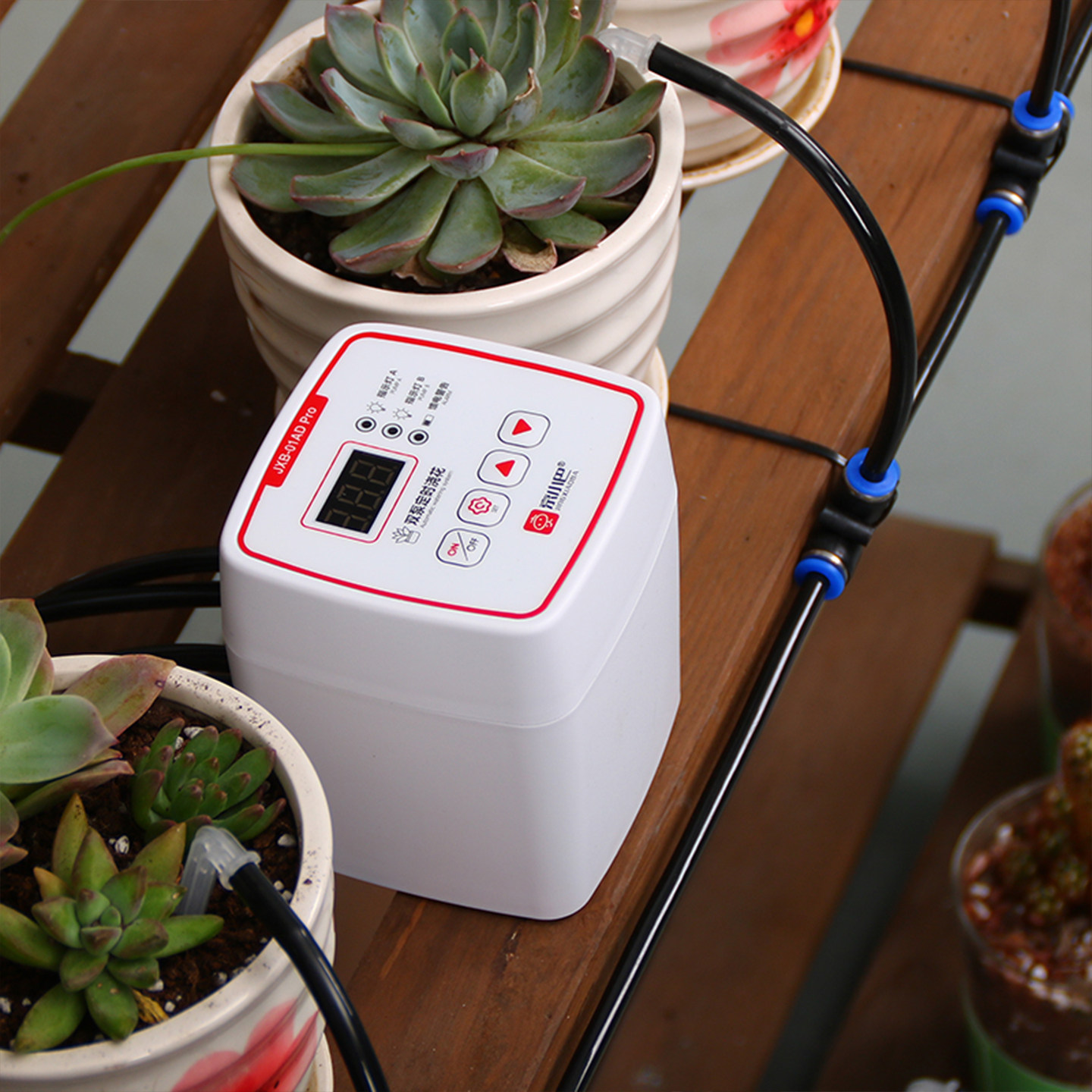 自动浇水器喷头家用出差滴灌装置定时系统懒人多肉滴水器浇花神器,淘宝优惠券,粉丝福利购,淘宝优惠卷