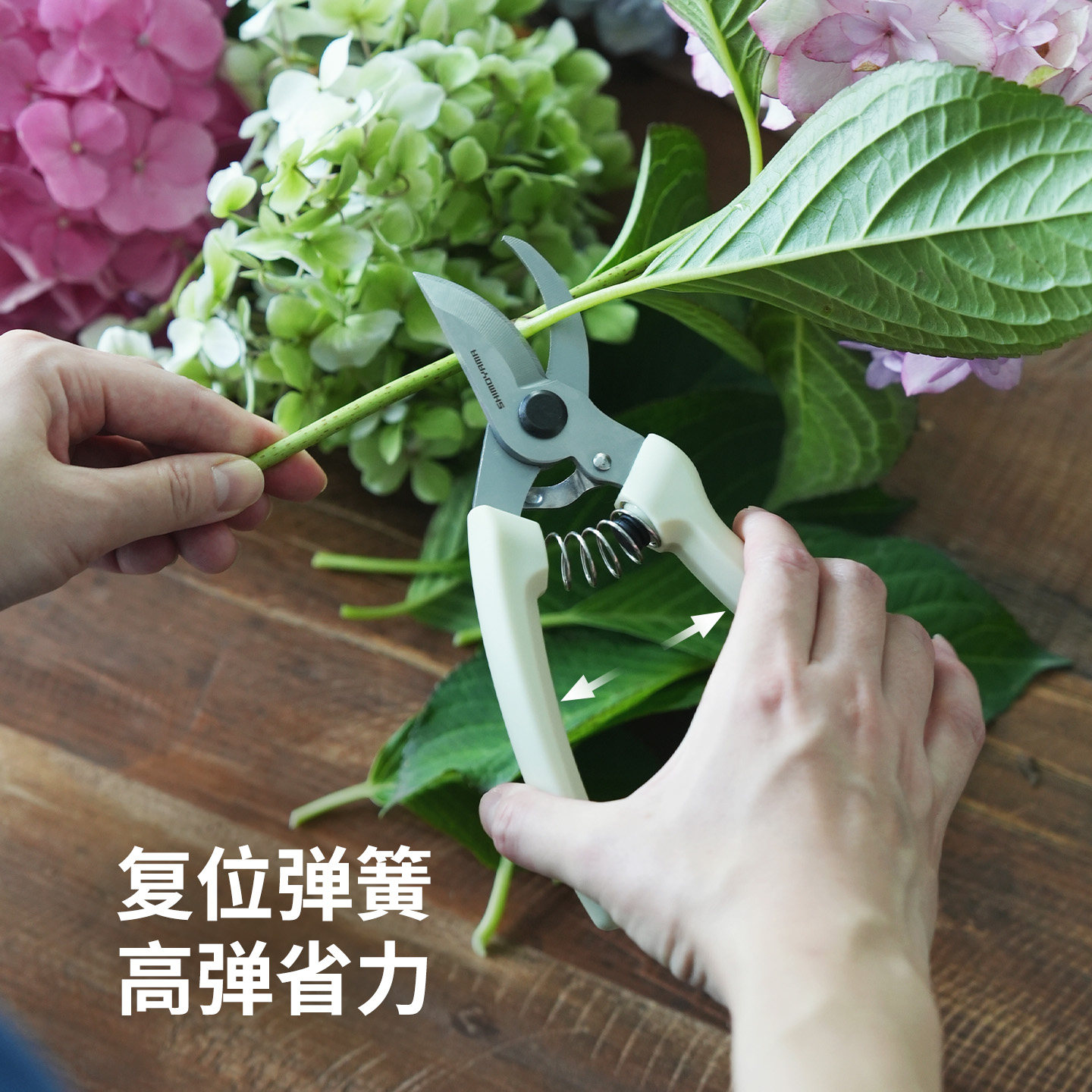 霜山果树修枝园艺剪刀家用园林花艺剪树枝神器加厚采摘工具果蔬剪,淘宝优惠券,粉丝福利购,淘宝优惠卷