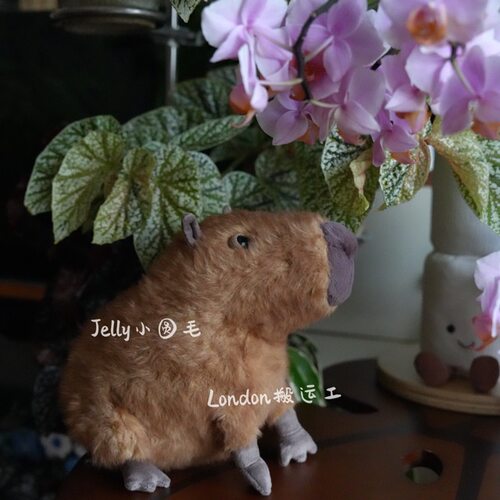 国内现货英国代购Jellycat卡皮巴拉水豚塔利龟capybara 豚门永存 - 图1