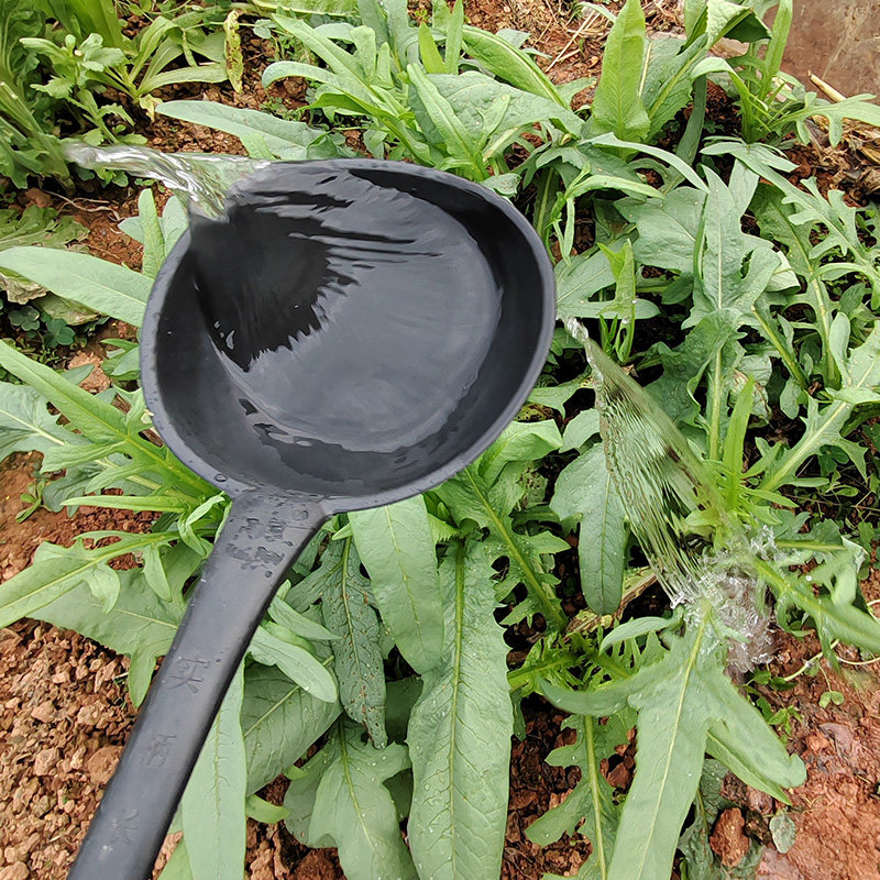 长柄水勺家用浇水施肥淋花淋菜厕所粪瓢牛筋塑料加长加厚加大水瓢,淘宝优惠券,粉丝福利购,淘宝优惠卷