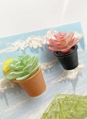 可爱迷你绿植小盆栽冰箱贴