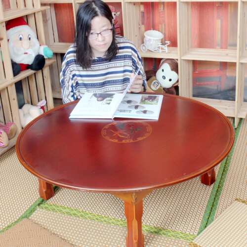 韩式炕桌进口品质圆桌方桌飘窗桌折叠桌床上懒人桌榻榻米餐桌 - 图0