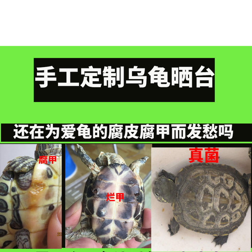 DIY晒台乌龟小龟晒背睡觉平台人工陆地龟苗休息玩耍台小号大龟台 - 图2