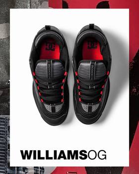 DCSHOECOUSA ຜູ້ຊາຍ WILLIAMS OG LOVE PARK ເກີບ skateboard ຫນັງຕ່ໍາເທິງທັງຫມົດ ADYS100454