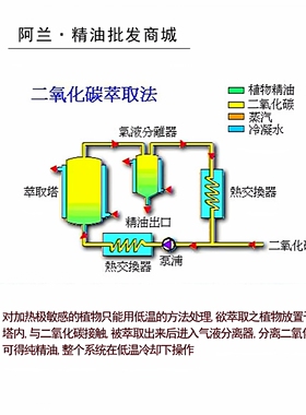 临界萃取红花精油100身体按摩