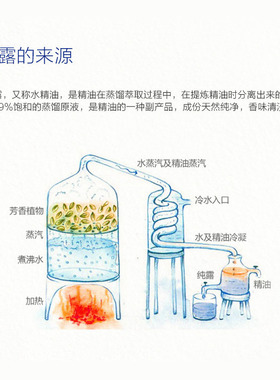 马鞭草酮迷迭香纯露收缩毛孔控油去闭口粉刺去痘清洁爽肤水用原料