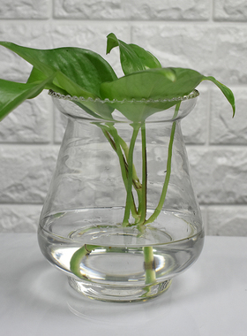欧式风水培植物绿萝容器玻璃花瓶