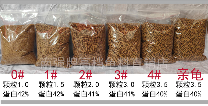 南强牌石金钱龟黑颈斑点金钱龟黄缘白化巴西乌龟饲料繁殖产蛋率高-图0