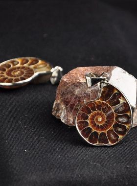 精美天然斑彩螺化石切片项坠