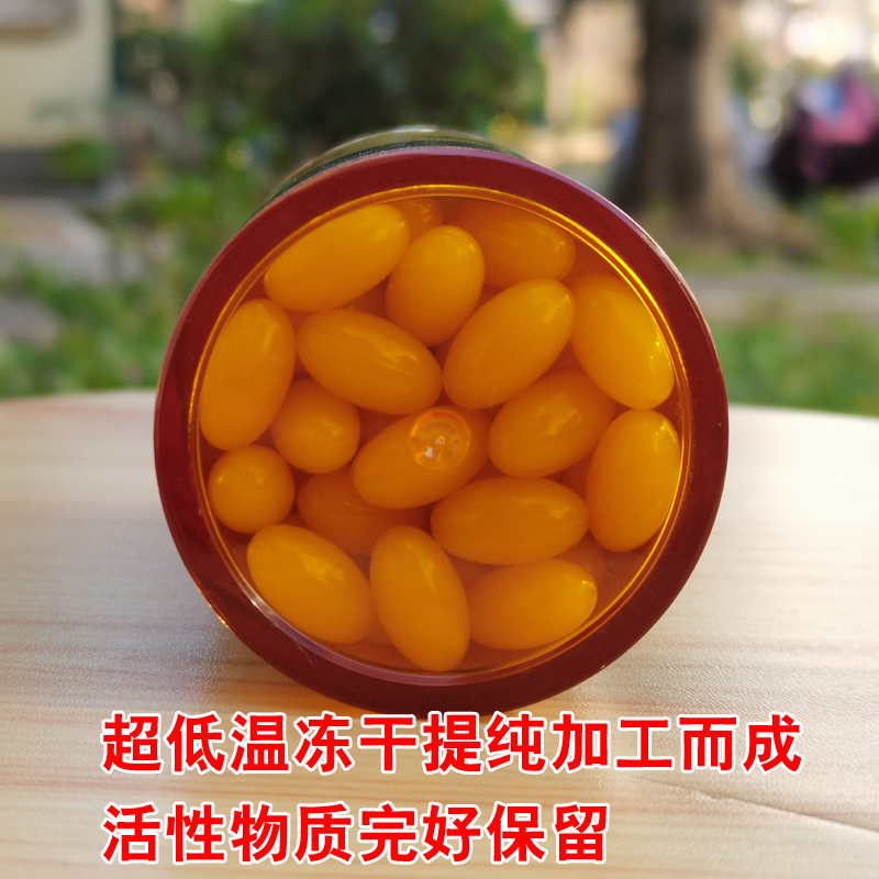 新鲜天然蜂王浆软胶囊 油菜蜂皇浆 春浆蜂王浆胶囊140粒 买2送蜜 - 图1