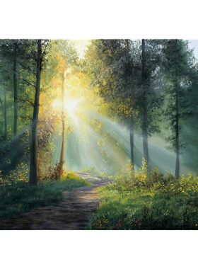 50*70cm 手绘 写实油画  山水 山 户外 风景 高端油画 LJL涂