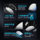 HP Wireless Dual Mode Silent Mouse