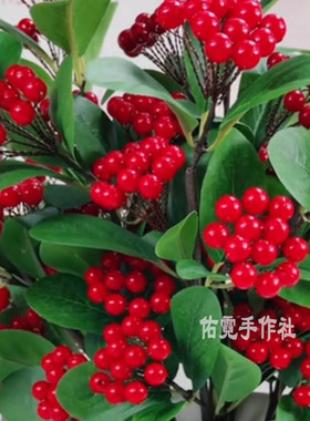 红浆果材料包DIY手工串珠发财果红果北欧冬青果配件散珠