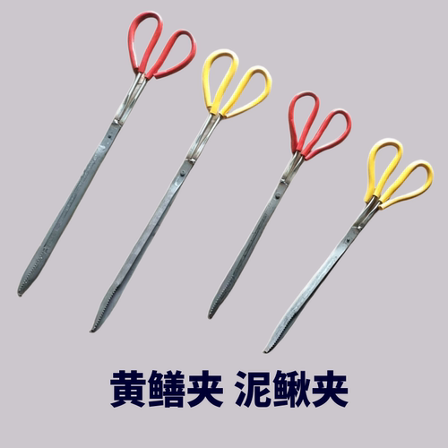 加长加厚黄鳝夹不锈钢鳝鱼钳控鱼器泥鳅夹螃蟹夹鳝鱼夹垃圾夹铁钳 - 图3