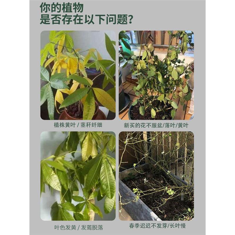 植物复活液 解决植物黄叶光杆半死不活果蔬绿植花卉通用型 - 图1