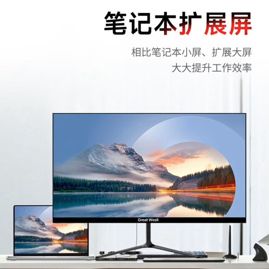 GreatWesl Great Wall Commercial Display 2427 Monitor