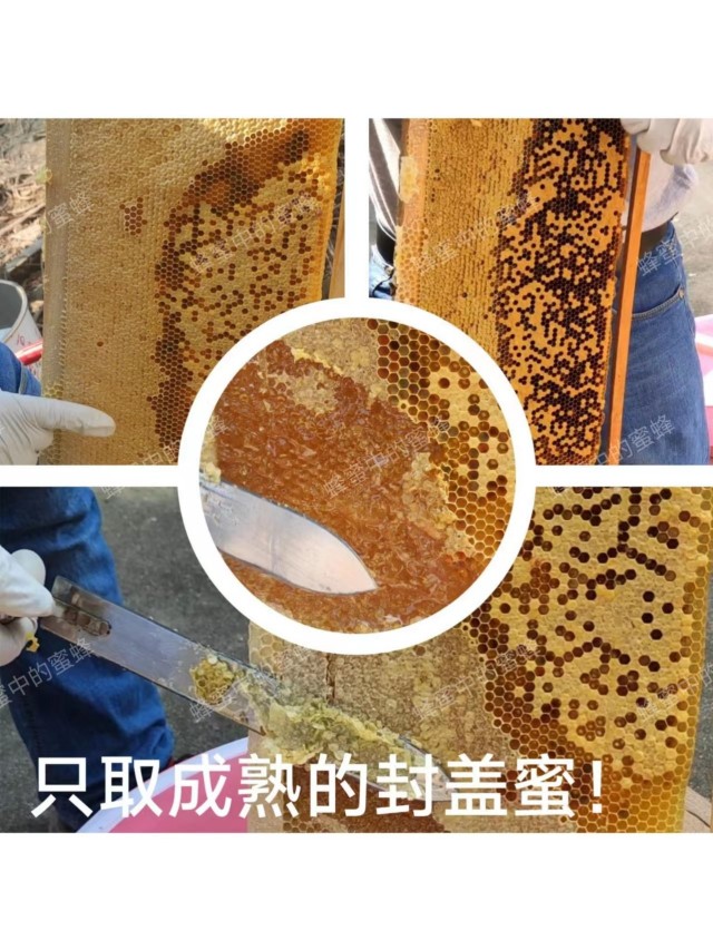 农家自养自销蜂蜜中蜂蜜土蜂蜜百花蜜农家蜜纯天然零添加便携装 - 图0