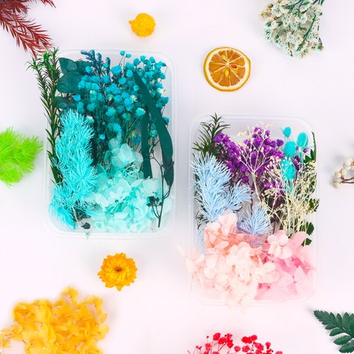 天然干花永生花假花仿真花儿童手工diy团扇材料包母亲节礼物 - 图3