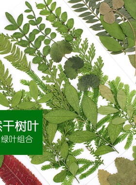DIY绿叶材料包组合材料
