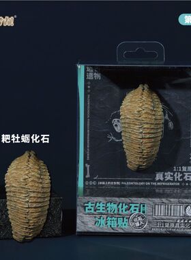 古生物化石树脂冰箱贴