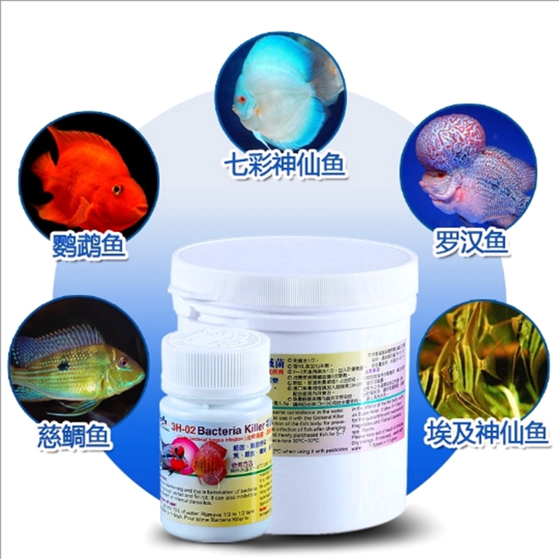 惠弘百必除特灭菌内寄外寄七彩神仙鱼罗汉鱼专用烂尾敌百虫鱼用,淘宝优惠券,粉丝福利购,淘宝优惠卷