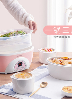 天际煮粥煲汤家用全自动燕窝炖盅