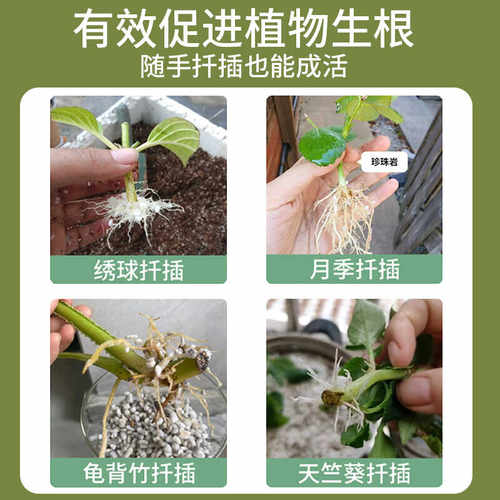 硬质软质珍珠岩大颗粒养花通用植物垫底铺面通用透气园艺珍珠岩 - 图2